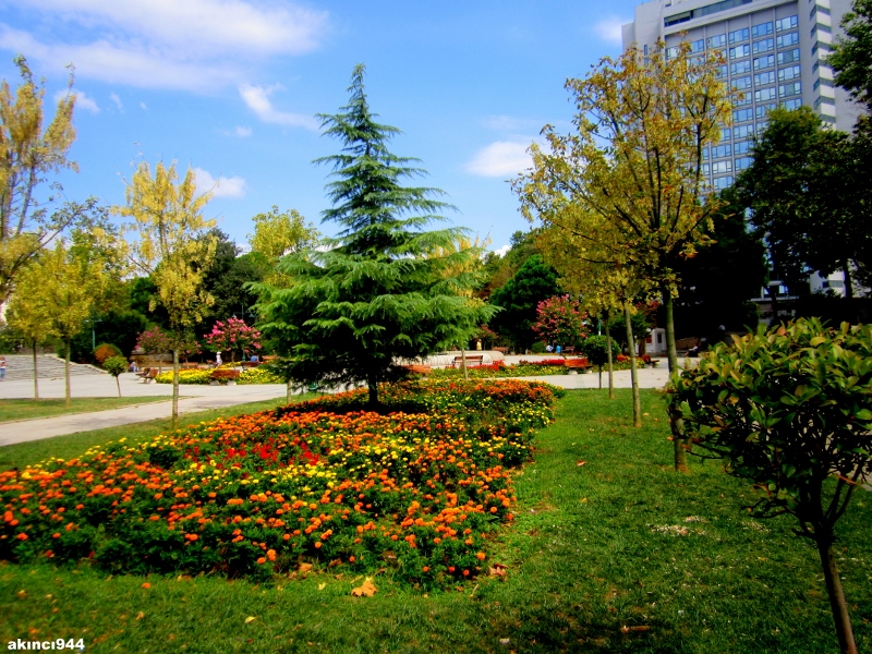 Taksim Gezi Parkı
