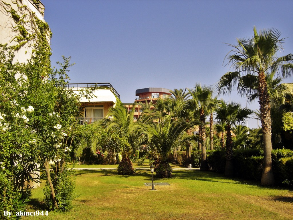 Çamyuva kemer (2)