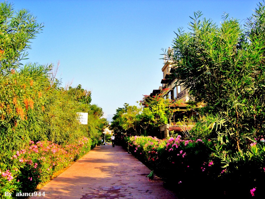Çamyuva kemer (35)