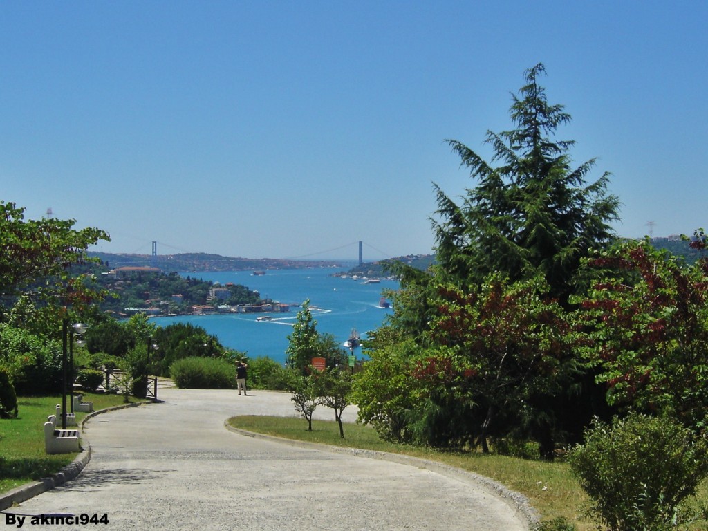 TEMA KOÇ KÜLTÜR P (39)