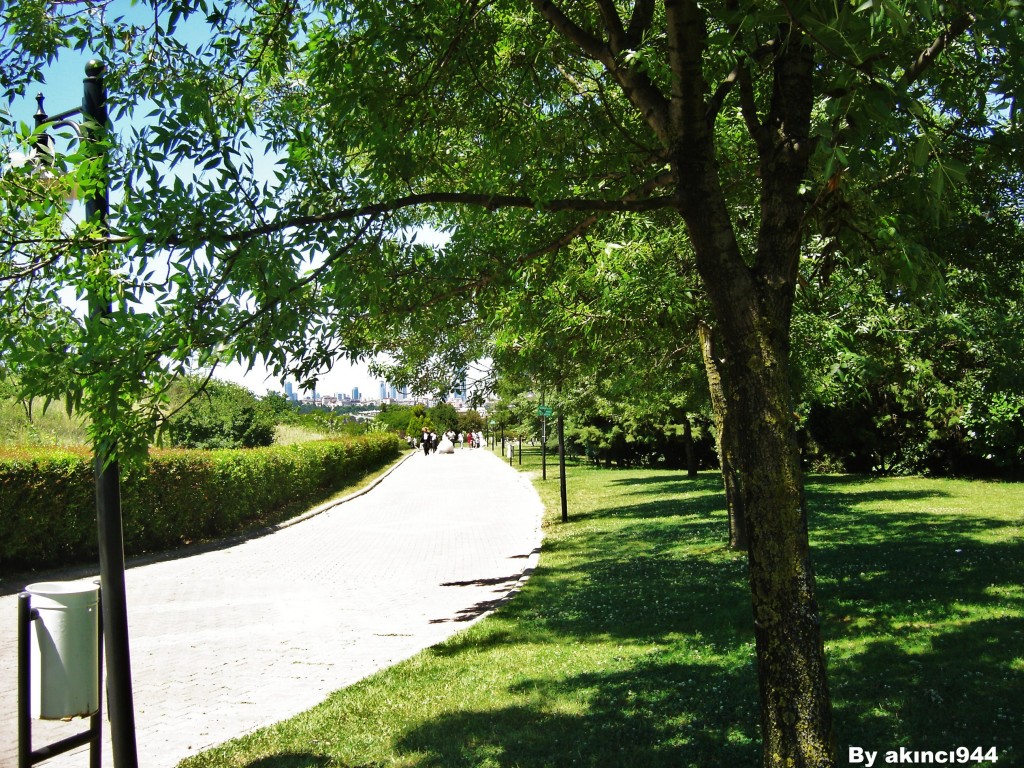 TEMA KOÇ KÜLTÜR P (4)