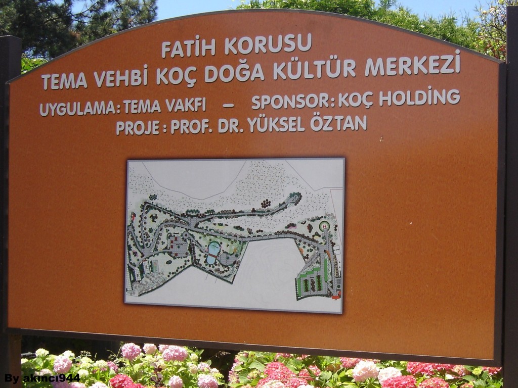 TEMA KOÇ KÜLTÜR P (62)