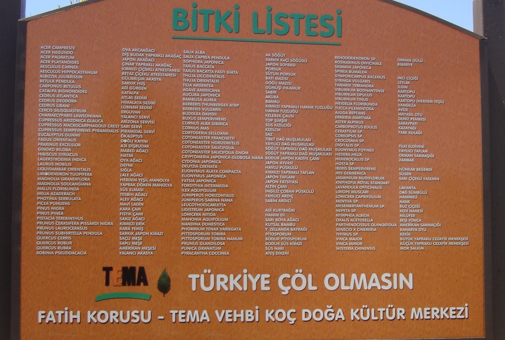 TEMA KOÇ KÜLTÜR P (63)