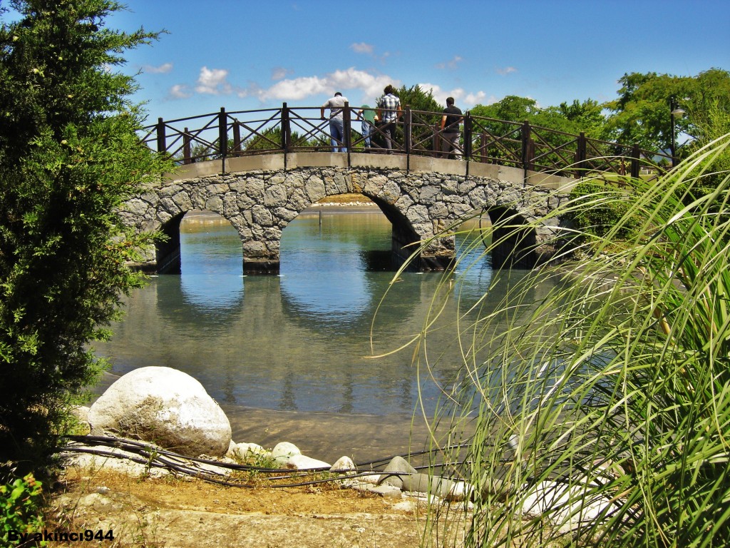 TEMA KOÇ KÜLTÜR P (9)