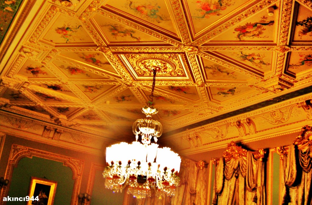 YILDIZ ŞALE KÖŞKÜ (63)