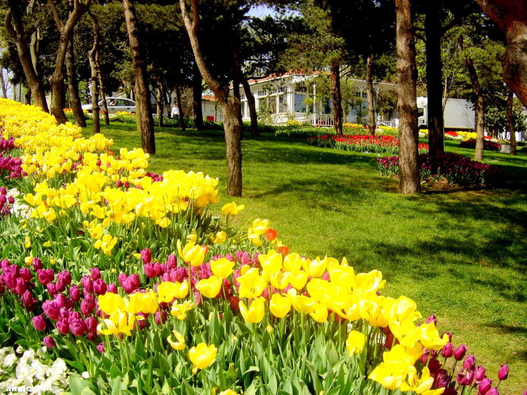 Büyük Çamlıca İstanbul