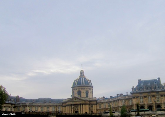 Seine Nehri Paris-Fransa Enstitüsü