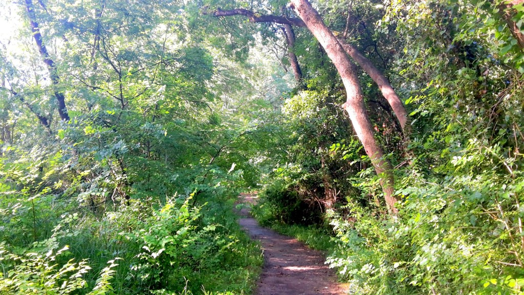 Vaugrenier Doğa Parkı Villeneuve Loubet