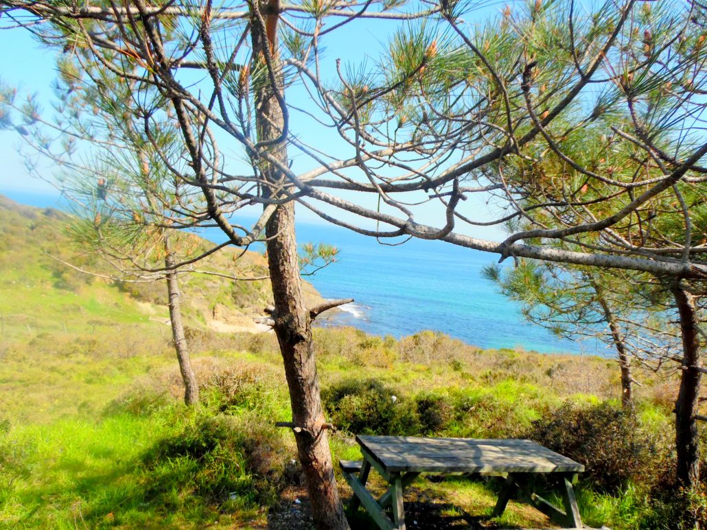 Riva Elmasburnu Tabiat Parkı Beykoz İstanbul